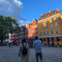 David Village Lighting: 2024 Wrap Up